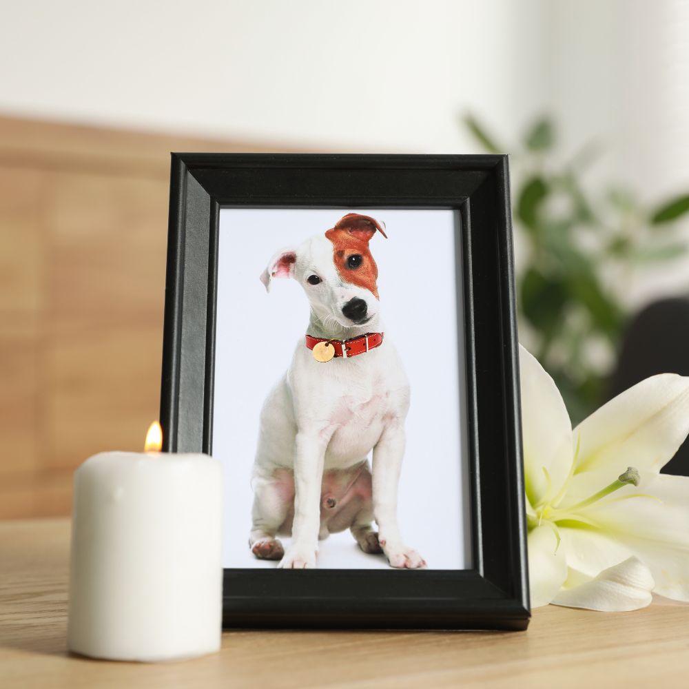 A photo frame of a dog on a table